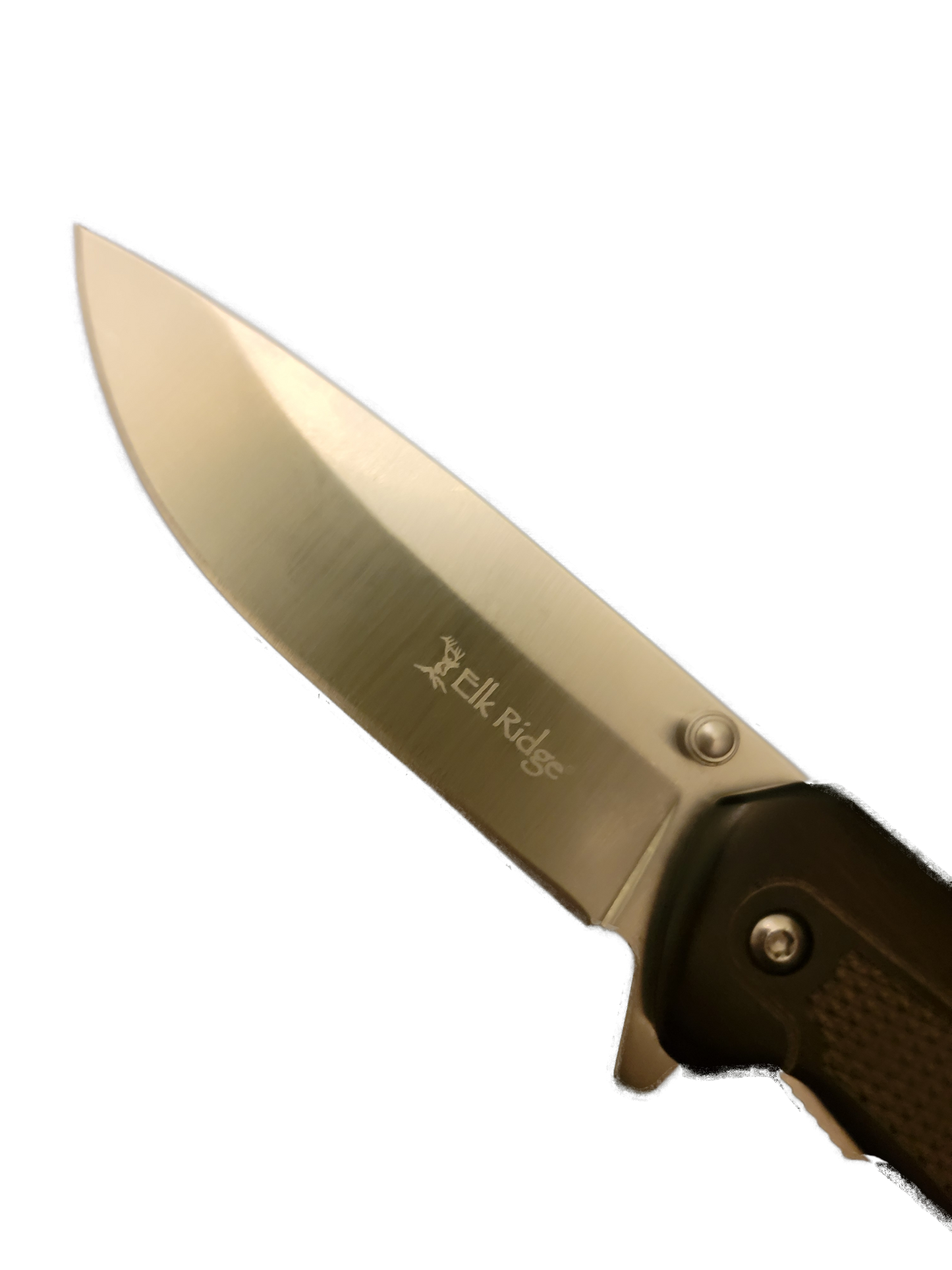 Elk Ridge Spring Assisted Knife